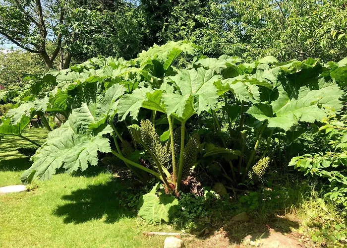 Feriestedet Ronne 3*